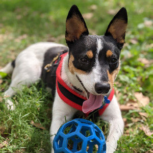 Meet your Posher, Judith